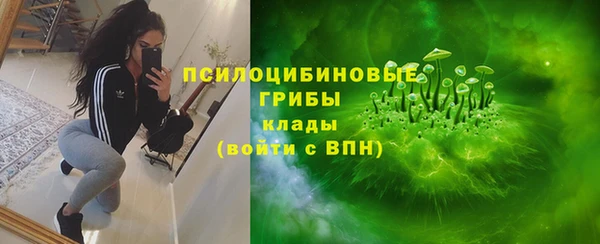 гидра Белокуриха