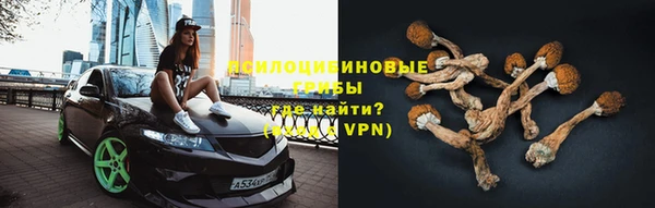 индика Балабаново