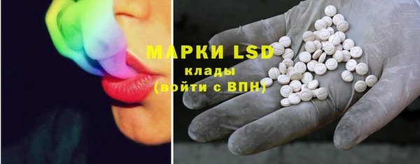 индика Балабаново