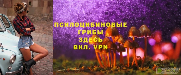 дмт Белоозёрский